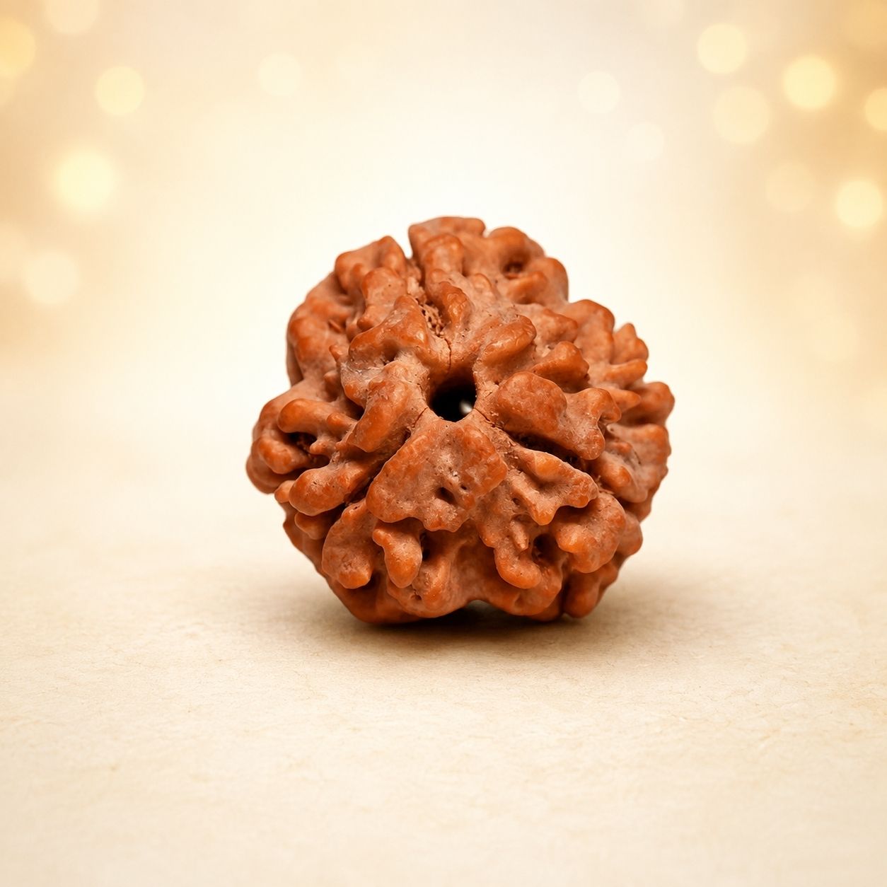 Rudraksha 3 Mukhi