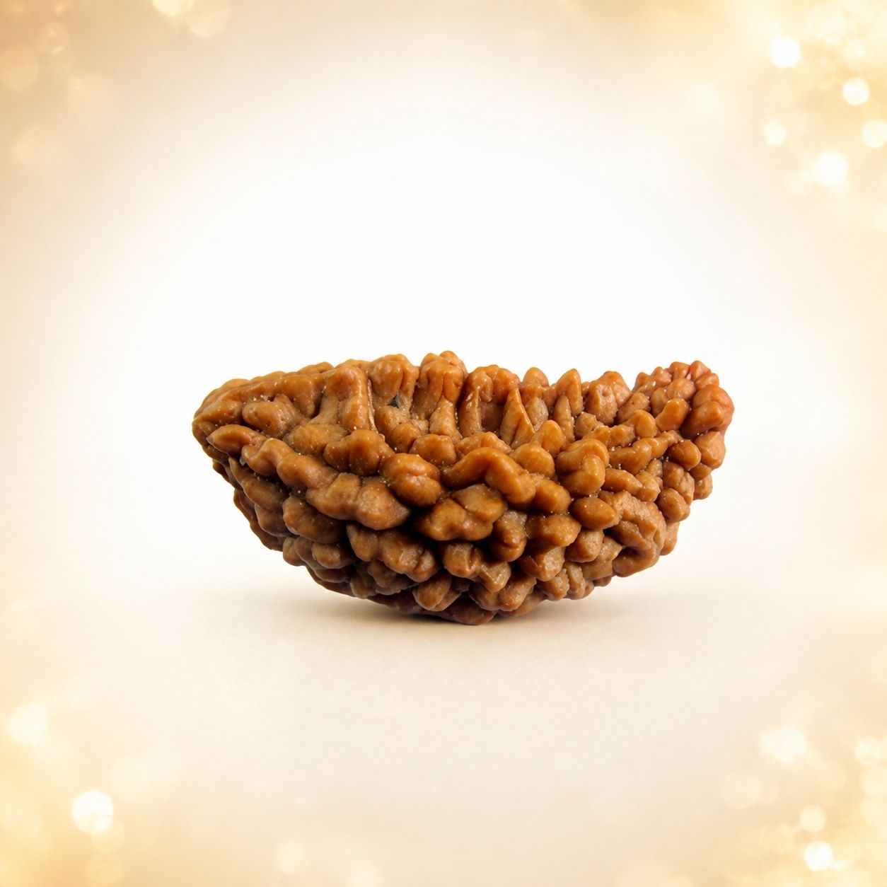 Rudraksha 1 Mukhi
